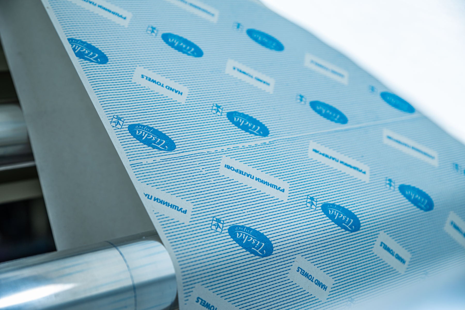 Tisha Hygiene — production line