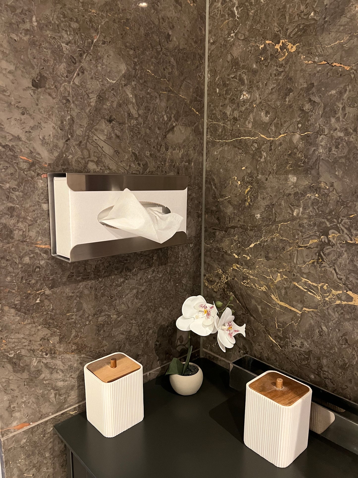 Wall-mounted stainless steel facial tissue dispenser in a modern washroom interior