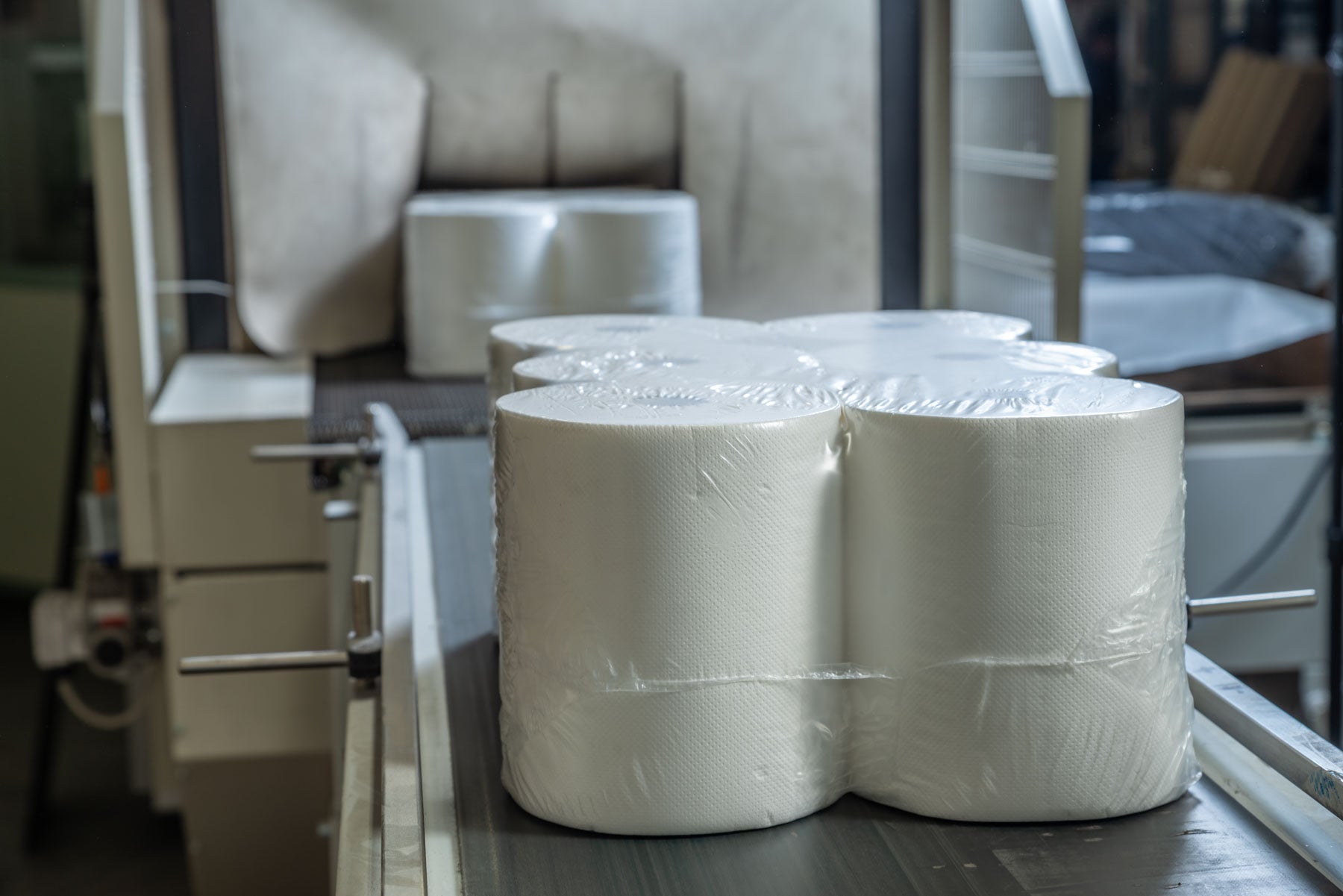 Finished paper rolls on production line